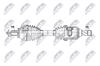 NTY NPW-LR-035