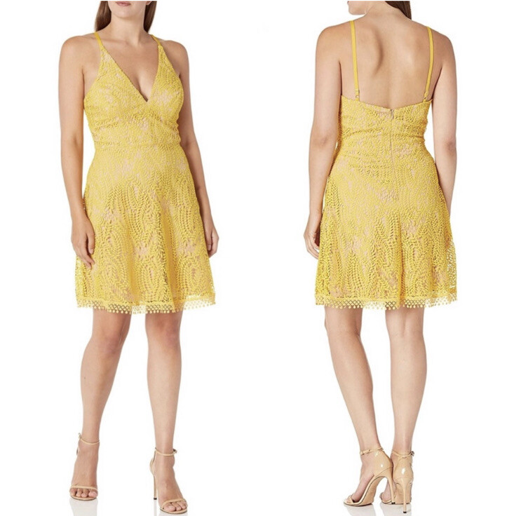 Dress The Population Piper Lace Dress | eBay