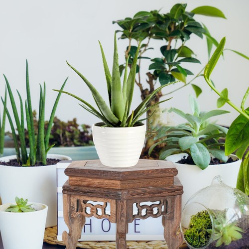 Hexagonal Table Base Home Ornament Stand Risers Display Stands Wood - Picture 2 of 12