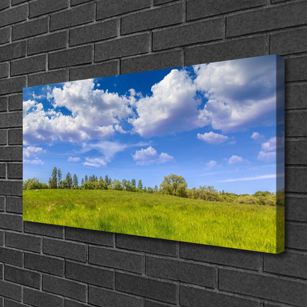 Photo sur toile prairie verte 100x50 | Décoration murale nature pour chambre zen
