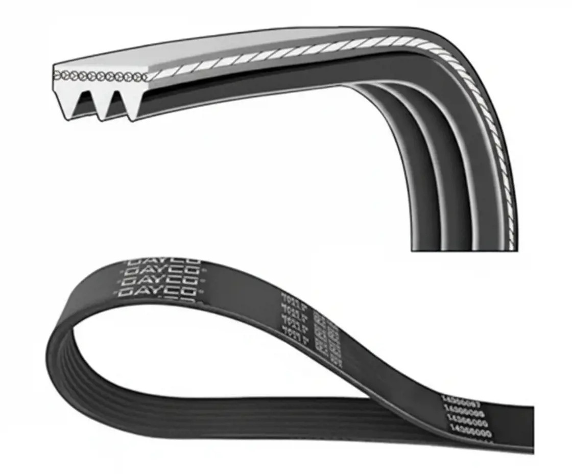 Dayco Cinghia Poly-V 3Pk908ee - Immagine 2