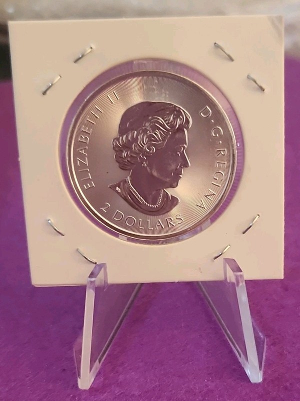 Royal Canadian Mint 2013 $1 Polar Bear 1 oz .9999 fine silver coin