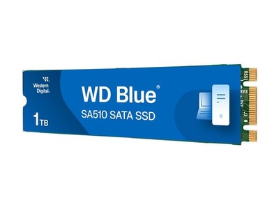 WD Blue SA510 SSD 1 TB M.2 SATA III 2280 6Gb/s internal single-packed