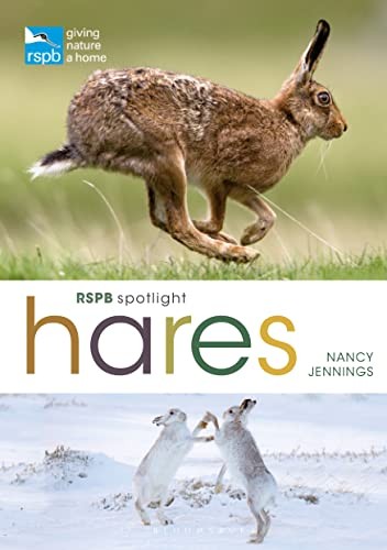 RSPB Spotlight Hares by Nancy Jennings 9781399405041 NEW Free UK Delivery - Image 8