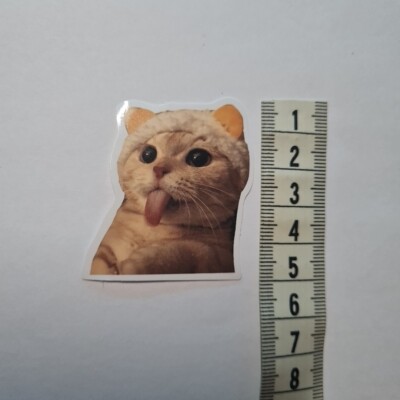 Cat Meme Funny Cute Derp Silly Hat Glanz Sticker Aufkleber Sammeln Geschenk Neu
