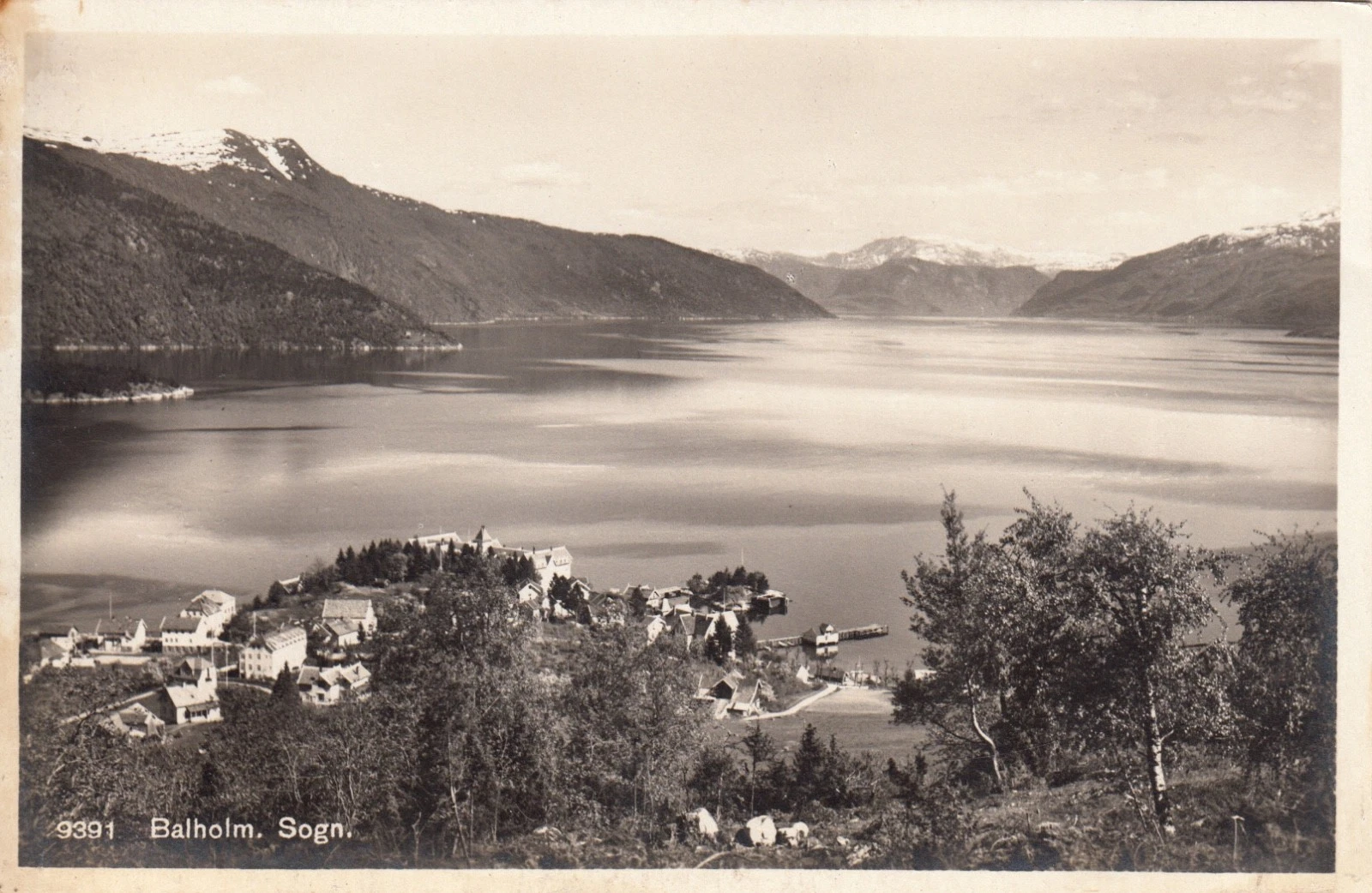 Photo 1/1