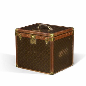 fifth avenue luggage