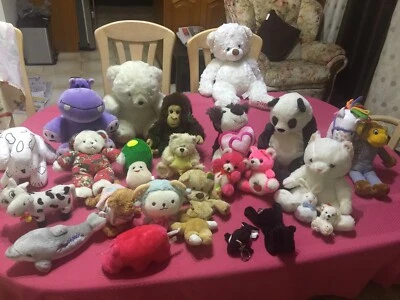 teddy bear bulk sale