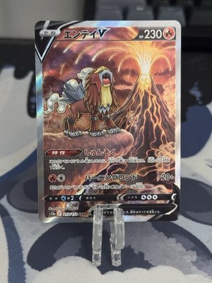 Entei V 213/172 S12a Vstar Universe SAR Full Art Holo Japanese