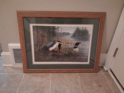Ducks Unlimited Framed Print ''Common Loons'' Signed Michael Sieve Limited LARGE