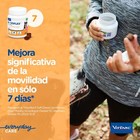 Imagen 4 de 5