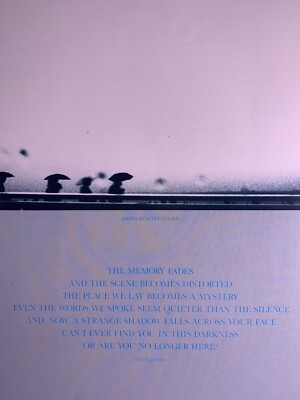 JAPAN　David Sylvian Sons Of Pioneers JAPAN Sons of Pioneers / Fin Costello David Sylvian Mick