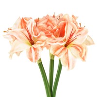 KüNstliche Amaryllis 40Cm - TäUschend Echte Kunstblumen Im 3Er-Set, Farben