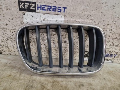 BMW X3 F25 Frontgrill 210726 7210726 335959