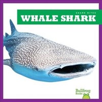 Jenna Lee Gleisner - Whale Shark - Hardback - G245Z