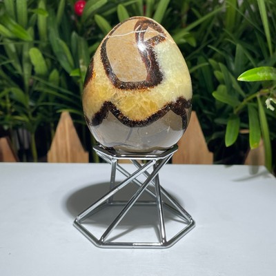 268g Natural Turtle Back Stone Egg Shape Dragon Crystal Crack Healing