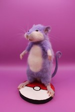 Rattata Pokemon rat taxidermy curiosity oddities