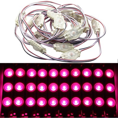 20X LED 1X Chain Module Pink 12V Waterproof Werbetechnik Ad Lighting ...