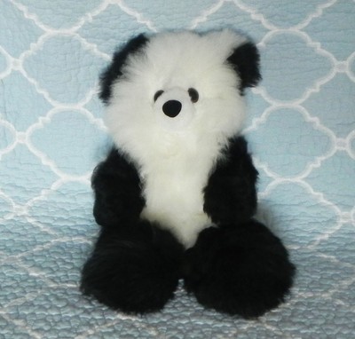 fluffy baby bear