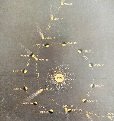 Comet Path Around The Sun 1940s Plate Print Astronomy Solar System DWT12A
