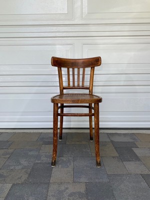 polish bentwood chairs