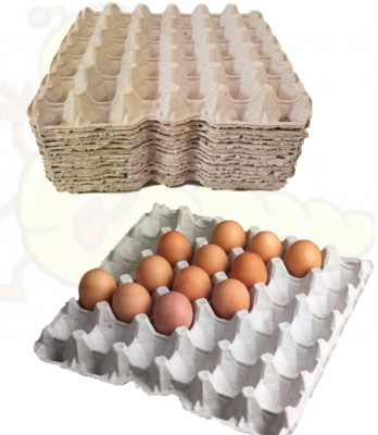 eggtrat 14box 81cRdOjoTAL._UF1000,1000_QL80_.jpg