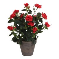 Mica Decorations Rosenstrauch Kunstpflanze Im Blumentopf Stan - H33 X Ø25 Cm - R