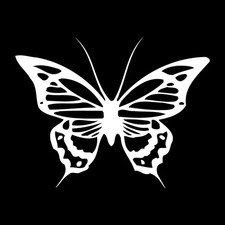 Butterfly Butterflies Decal Sticker White Die Cut Vinyl