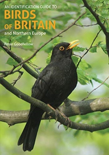An Identification Guide to Birds of Britain and  by Peter Goodfellow PAPERBACK