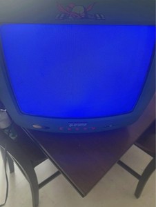 Turtles P31SNT Vintage Green CRT Television with Remote Control - Model P31SNT