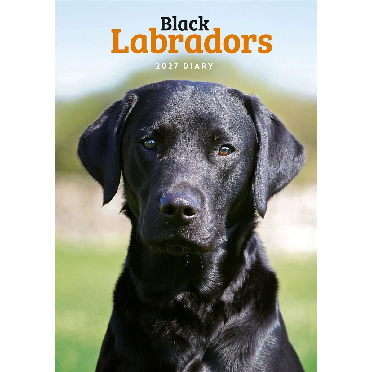 Black Labradors A5 Diary 2027 - Image 4