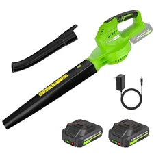 Leaf Blower Cordless, 20V Electric Blower with 2 X 2.0Ah Batteries and Fast C...