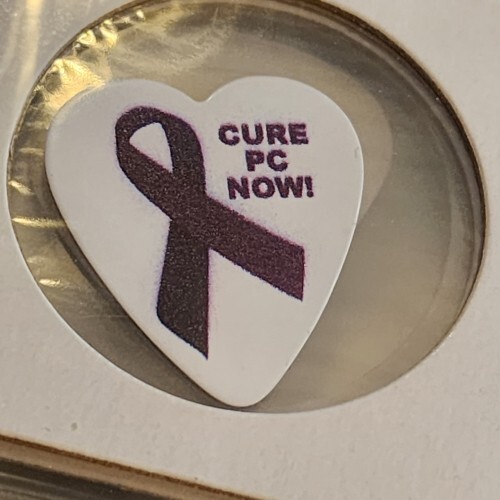 ORIGINAL TOUR GUITAR PICK SMITHEREENS JIM BABJAK CURE PC NOW!