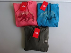 north face bearscape hoodie women's