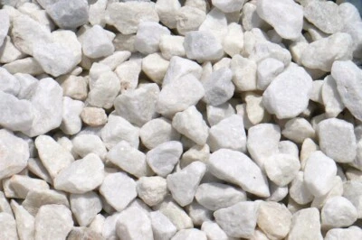 GGL WHITE SMALL CHIPPINGS | Terrarium Supplies | Decorative Rocks | Terrarium Stones