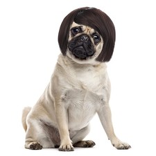 Cobee Funny Dog Cat Suitable Head Circumference: 30-60cm/12-24inch, Black
