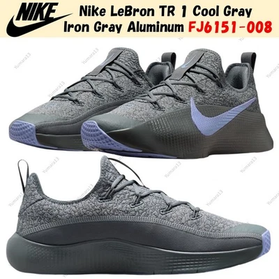 Nike LeBron TR 1 Cool Gris Fer Gris Aluminium FJ6151-008 Homme Taille - Photo 1/4