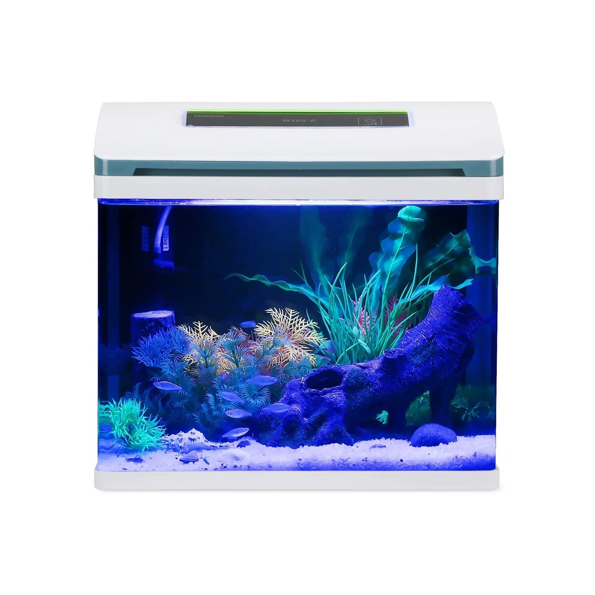 Betta Fish Tank Glass 5 Gallon Self Cleaning Small Aquarium Starter Kits  Desk