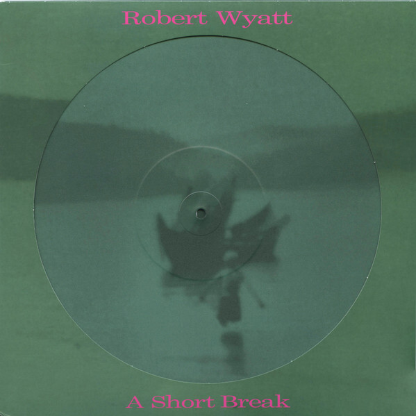 A Short Break ( picture disc )