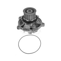Ldv Maxus 2005-2009 Wasserpumpe BWP2279 (Borg & Beck)