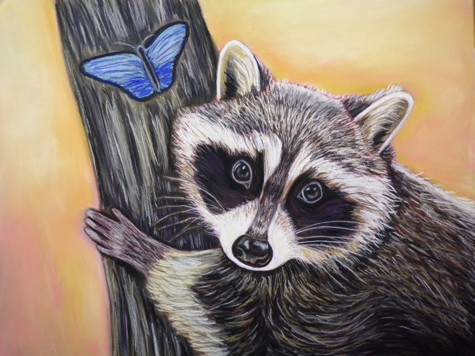 Raccoon Original Painting