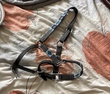 Pony Leder Halfter in Blau/Schwarz/Weiß