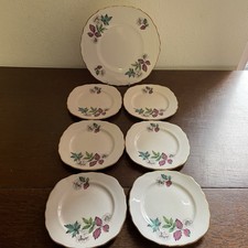 Vintage Royal Vale Cake Plate And  6 Tea Plates Bone China