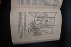 Bild 22 von 24
