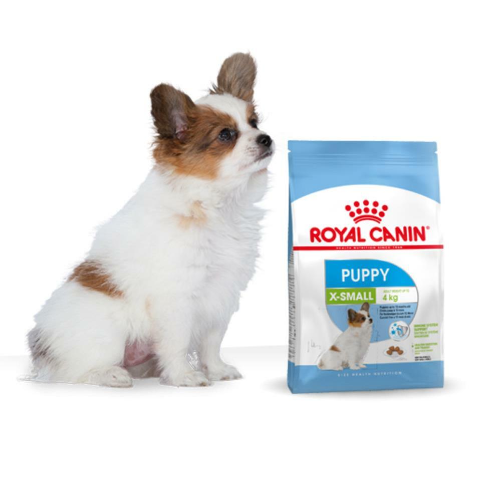 royal canin mini sterilised 4 kg