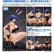 Shin Ikki Tousen Ryomou Shimei Bare Leg Bunny Ver. 2nd