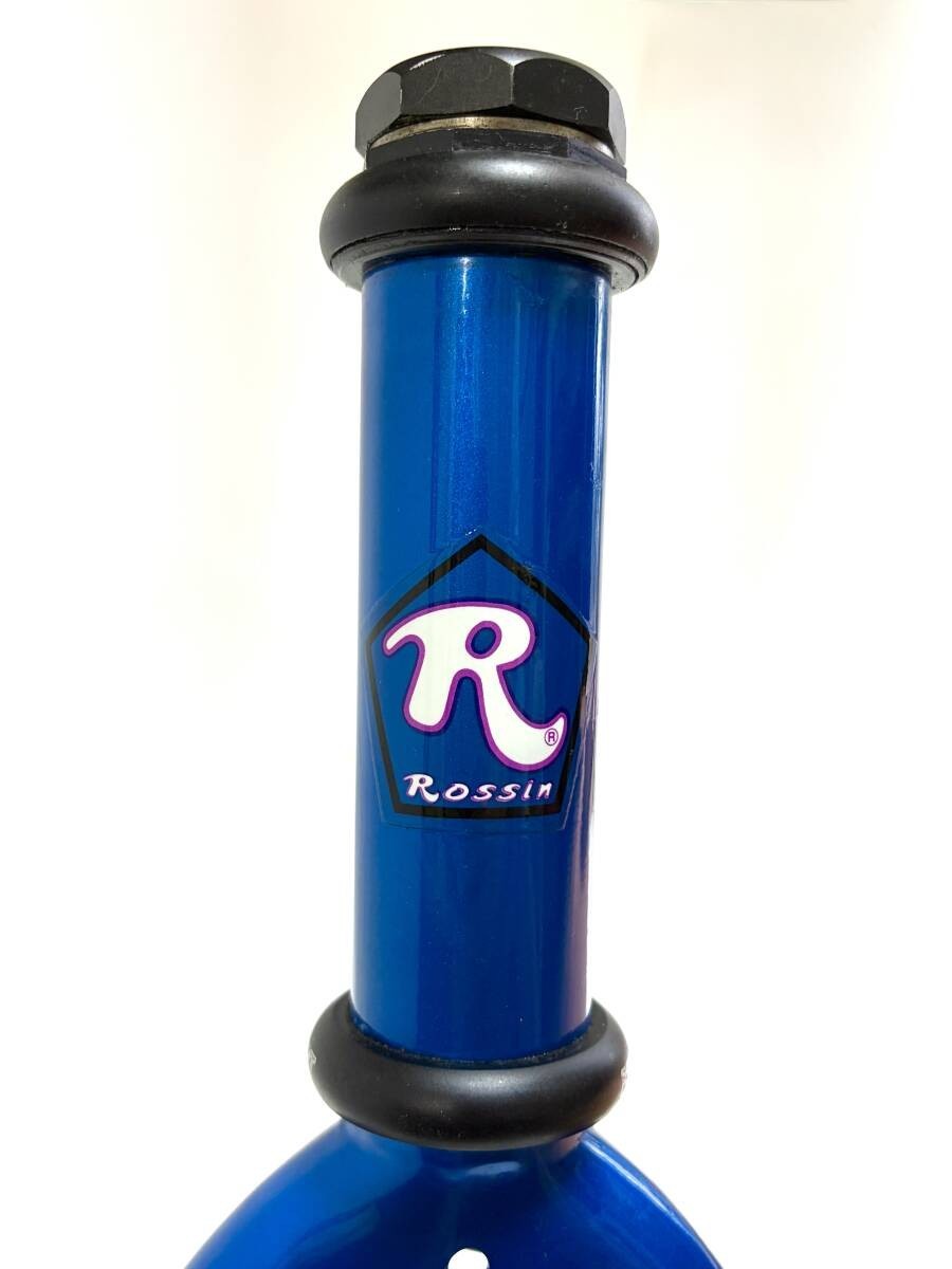 Rossin Genesis EX Vintage Chromoly MTB Frame | eBay