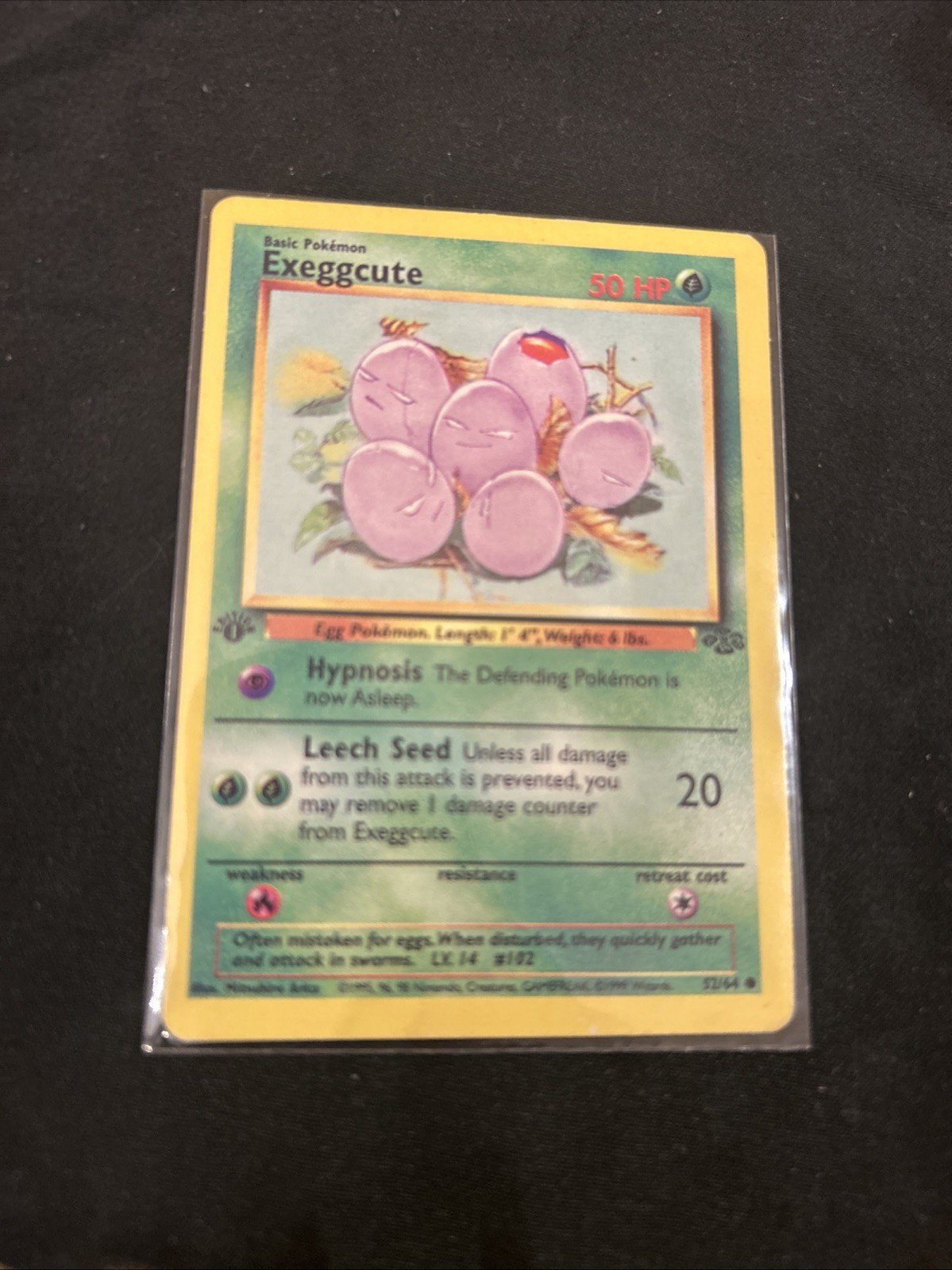 Pokémon TCG - EXEGGCUTE (1ST EDITION) - 52/64 - WOTC Jungle (1999) - NM