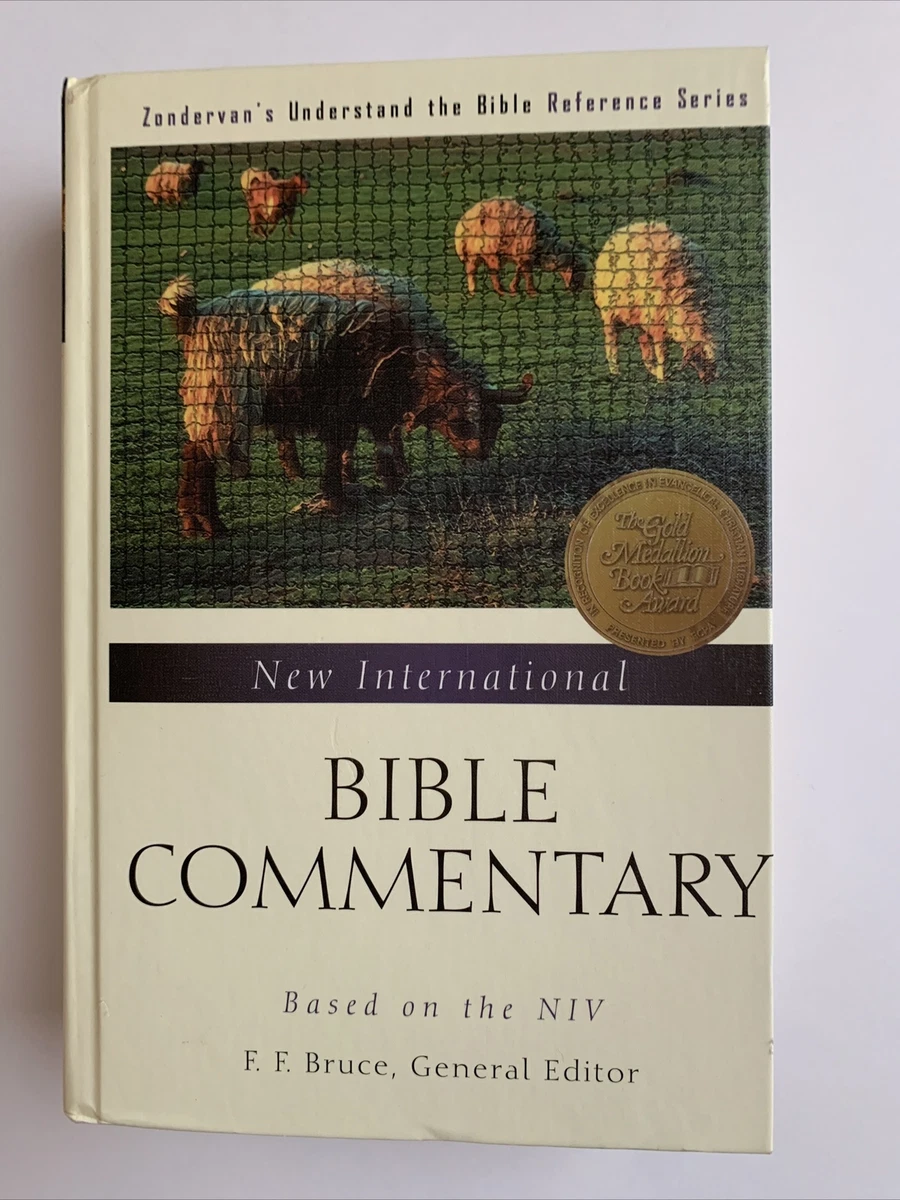 Bible 2024 commentary online