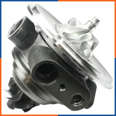 Rumpfgruppe CHRA für AUDI  | 9VA06, F41CEG-SR028B